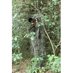 TRAGOPAN- PARKA GHILlIE 2