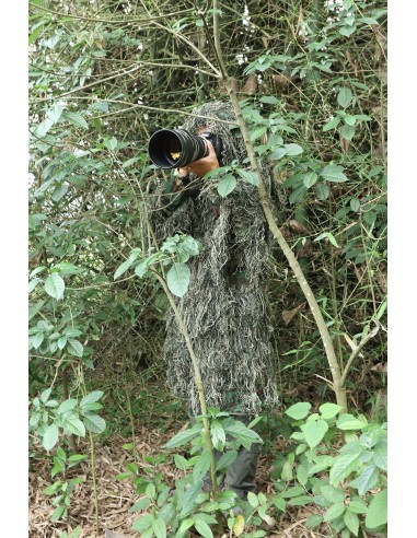 TRAGOPAN- PARKA GHILlIE