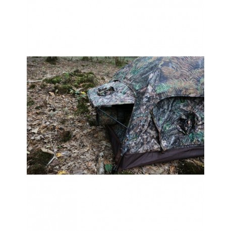 TRAGOPAN-AFFUT HOKKI V3