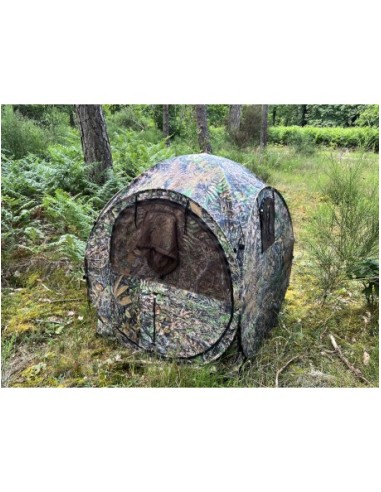 TRAGOPAN-AFFUT MINI GROUSE