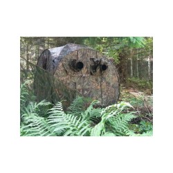 tragopan affut maxi grouse