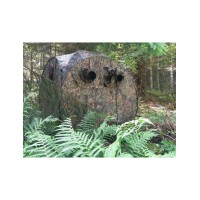 tragopan affut maxi grouse