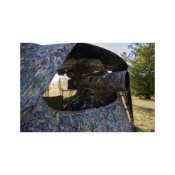 TRAGOPAN - AFFUT MONAL V3 2