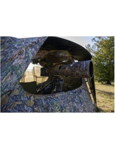 TRAGOPAN - AFFUT MONAL V3