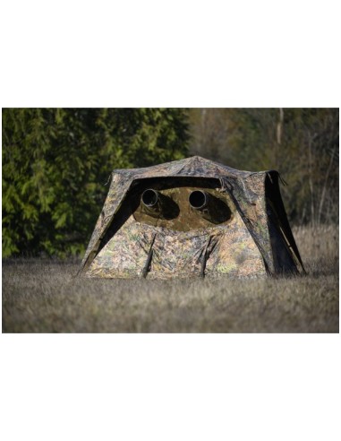 TRAGOPAN - AFFUT MONAL V3